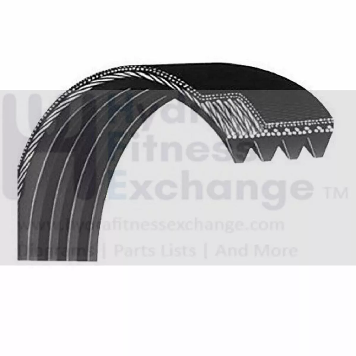 Gold's Gym ProForm Treadmill Motor Drive Belt 18" 392549