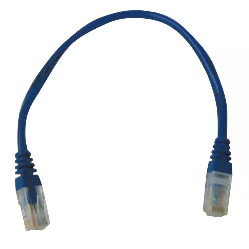 RJ45 1' Blue Patch CAT5 Cable for ProgRama VI PGR8812 ProgRama, Inc.